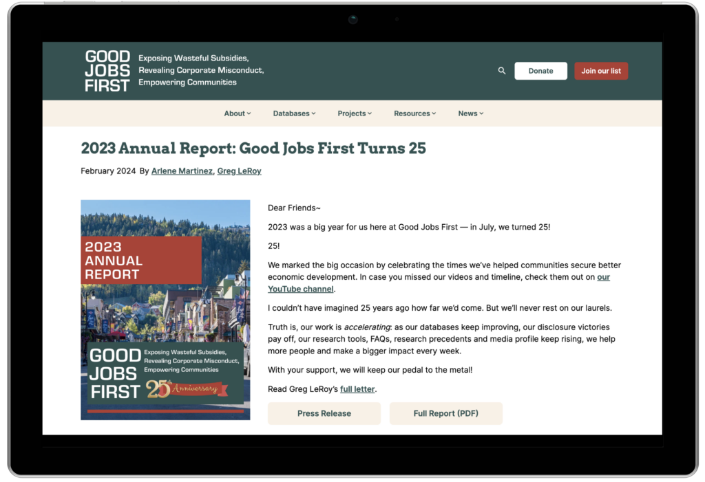 Nonprofit annual report template example