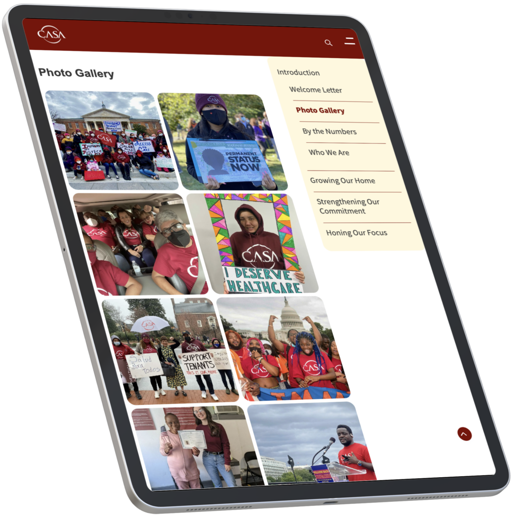 Nonprofit annual report template example